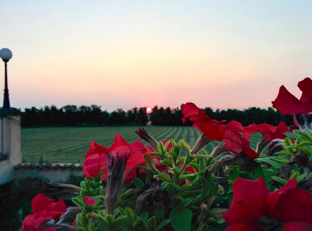 Agriturismo Corte Bebbi Bibbiano  Eksteriør bilde